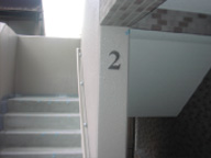 �X�e�����X�K���\����