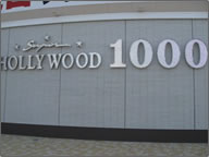 �O�ǃT�C��1