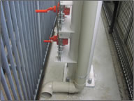 �e���g�H��6