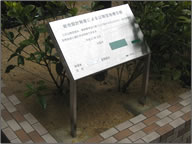 �}���V�����H��5